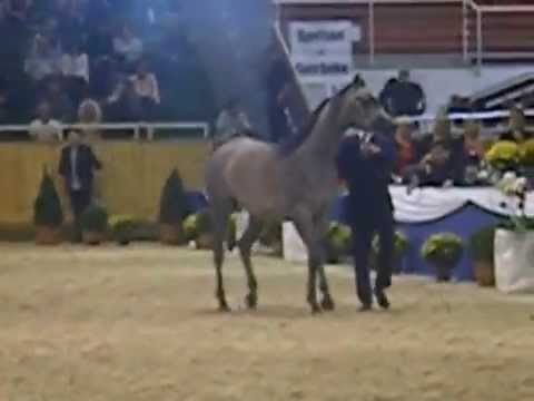 All Nations Cup, Aachen 2014