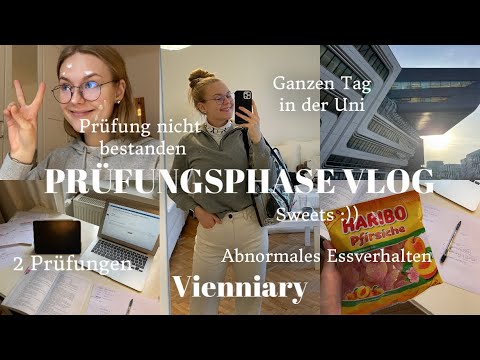 PRÜFUNGSPHASE UNI VLOG I Prüfung nicht bestanden, Lerntage, Abnormales Essverhalten I Kathamariie