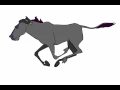 Wildebeest Run