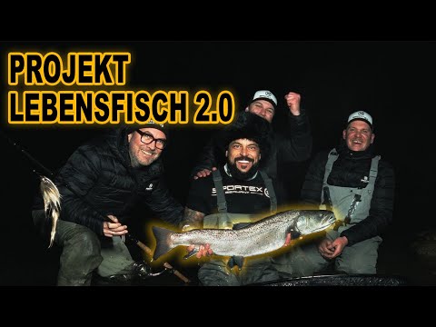 Huchenangeln in Österreich ‼️Projekt Lebensfisch - Part 2