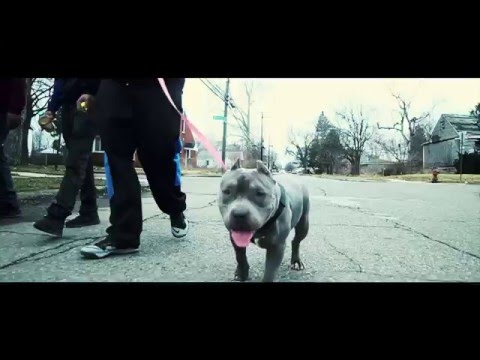 JUNGLEBOYS JOJINOOO & HOKAGE - EARTHLANDS (Shot by @Jayshotit)