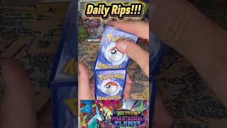 ripping phantasmal flames 4 #pokemon #pokemonchannel #pokemoncards #pokemontcg