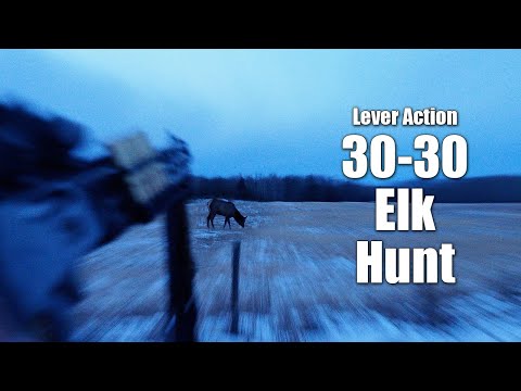 Elk hunt! The 30-30 puts meat on the table. BONUS - monster ammo review.