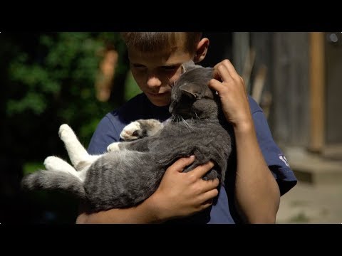 S14E04 Ķepa uz sirds 23.09.2017