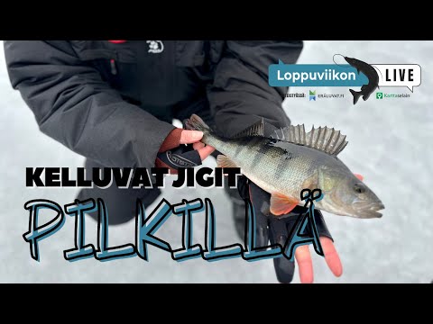Kelluvat jigit PILKILLÄ | Loppuviikon LivE