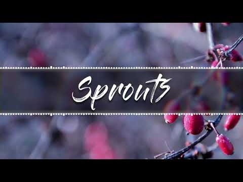 Blarrgensnorf - Sprouts