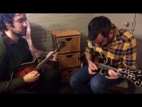 Mike Guggino & Andrew Marlin | Mandolin Jam