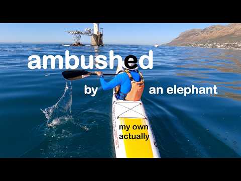 Surfski is Life AMBUSHED by an ELEPHANT
