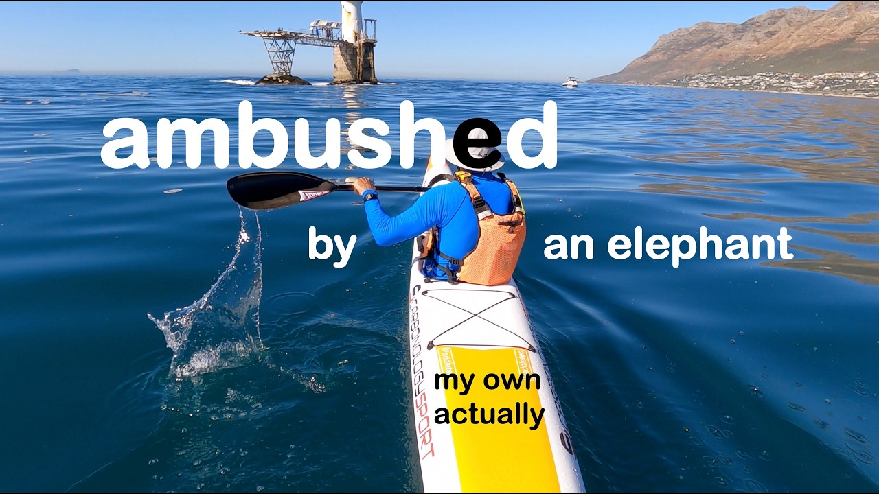Surfski is Life AMBUSHED by an ELEPHANT
