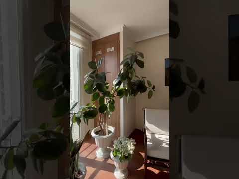 Fethi Can Bozkaplan-25