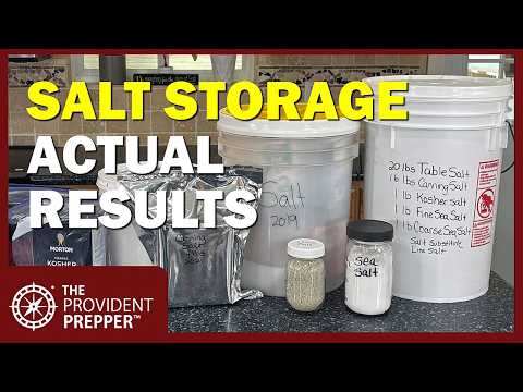 Salt Storage: What Works and What DOESN'T (Real Results)