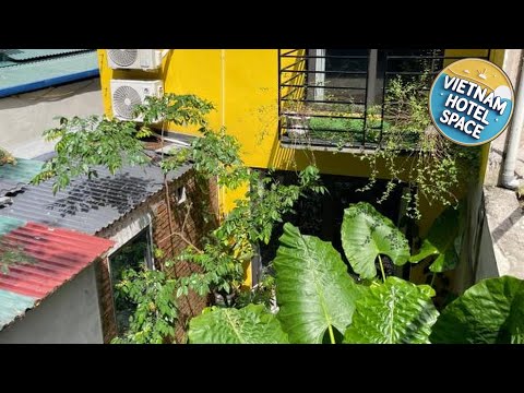 Oc Homestay Cat Ba | Cat Ba Island, Vietnam | Hotel Review 🛏️