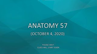 Anatomy 57 (October 4, 2020)