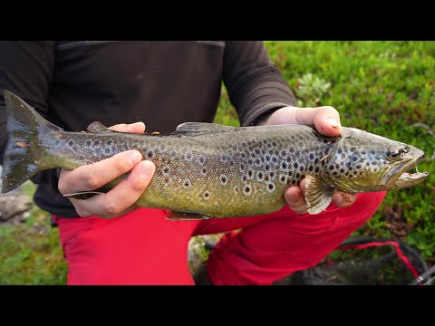 Pekkojen Pojat Finnmarkissa 2024, osa 1/2 | 4K |