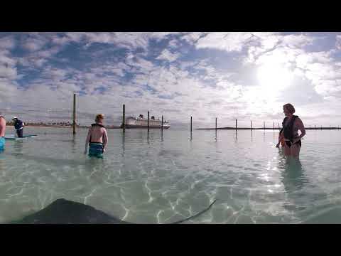 Stingray Experience on Disney's Castaway Cay 360 VR