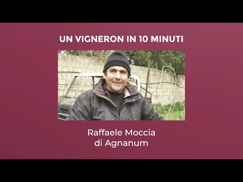 Un Vigneron in 10 Minuti - Raffaele Moccia