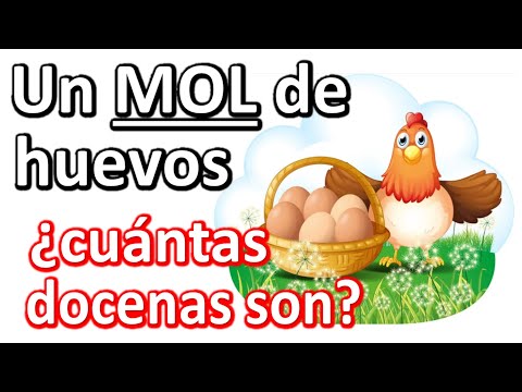 What is a mol. Mol of eggs
