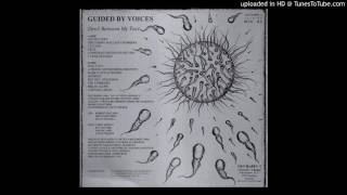 Guided by Voices - Discussing Wallace Chambers