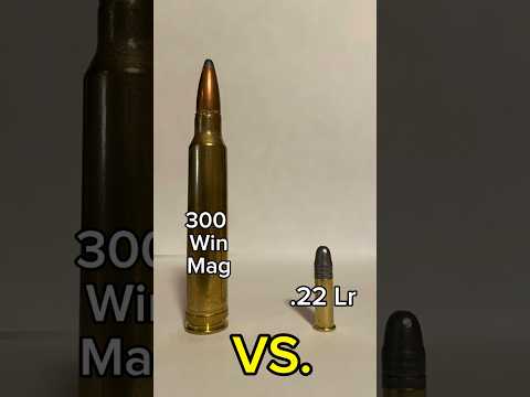 .22 lr VS. 300 WIN MAG 🔥