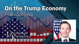 The Trump Economy and the Cost of the Lockdown