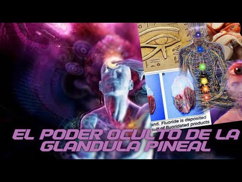 EL PODER OCULTO DE LA GLANDULA PINEAL