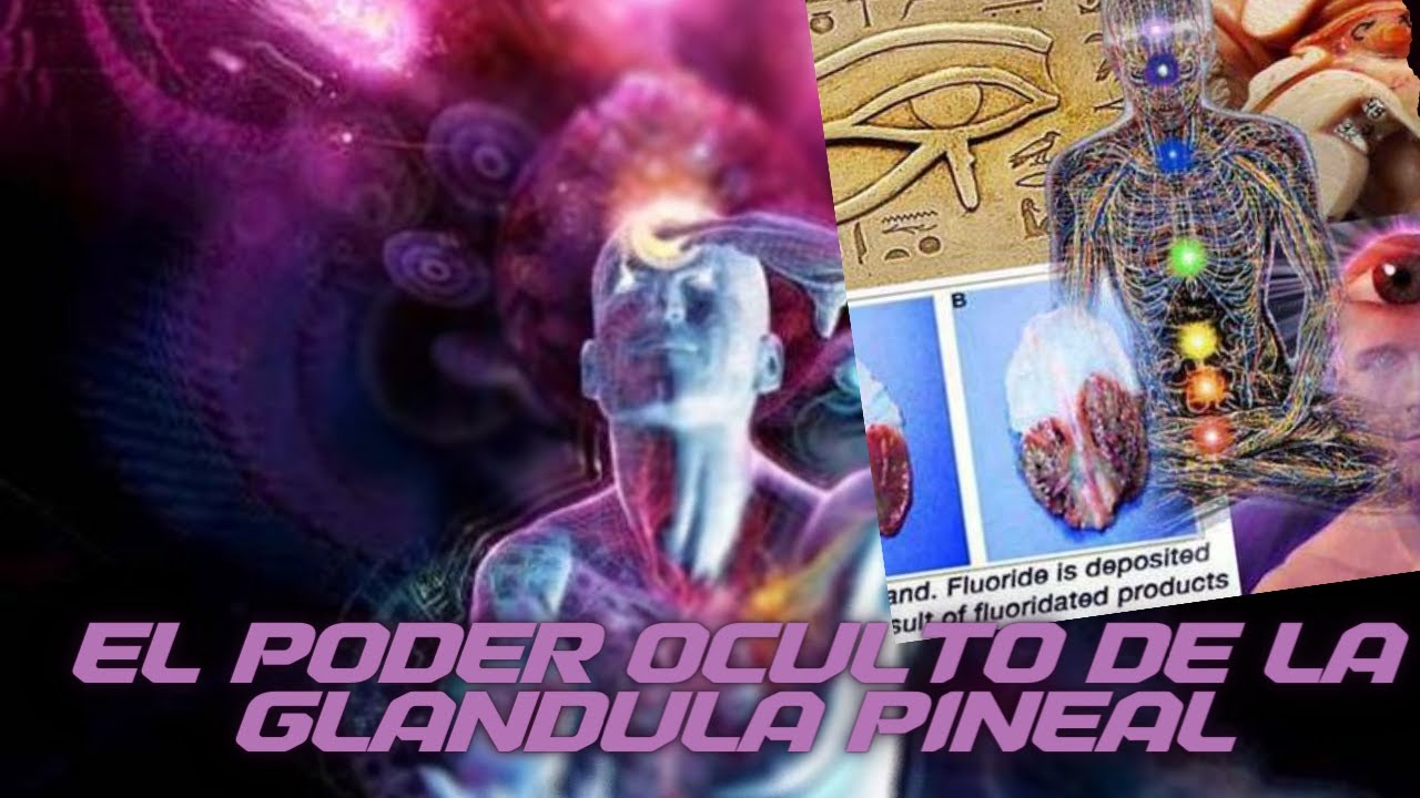 EL PODER OCULTO DE LA GLANDULA PINEAL