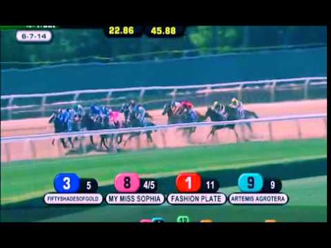 HD Sweet Reason   2014 TVG Acorn G1   kentucky derby   california chrome