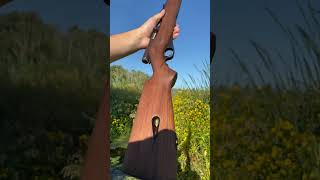 Download lagu Mossberg 51 .22 mp3 Download lagu Mossberg 51 .22 mp3