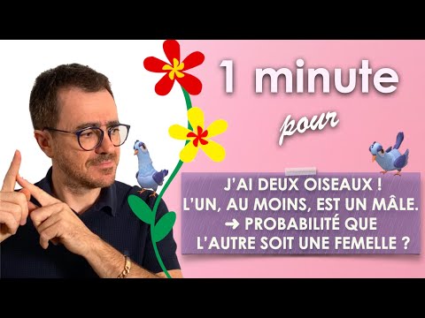 Calculer une probabilité [en 1min⏱]