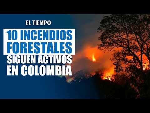 Diez incendios forestales siguen activos en Colombia: Tolima y Valle, los más afectados | EL TIEMPO