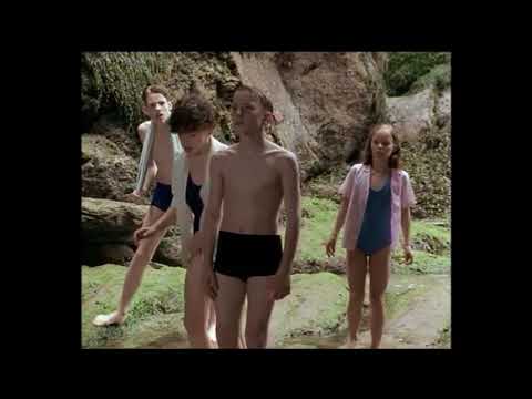 Fünf Freunde - Verfolgen Die Strandräuber