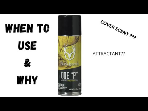 Doe Urine | When & Why To Use Doe Urine #deerhunting