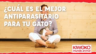 Kiwoko ¿Cuál es el MEJOR ANTIPARASITARIO para tu GATO?🐱【¡TE LO CONTAMOS!】 anuncio