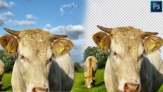 Remove background in seconds - Photoshop Tutorial Anthony Lam Photography Edits
