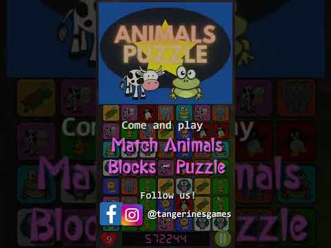 Match Animals Blocks - Puzzle