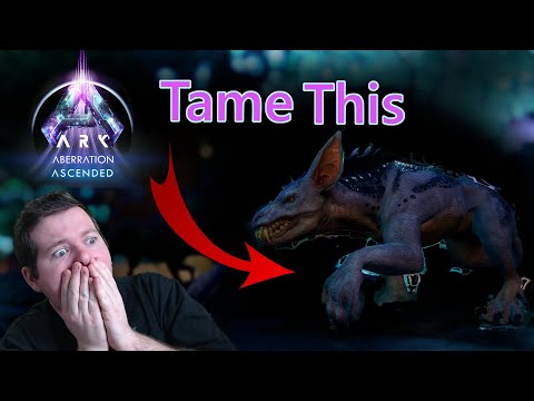 Ark How to tame Ravagers | The Dog of Ark Survival Ascended | Quickly and Easily With The Best Trap!