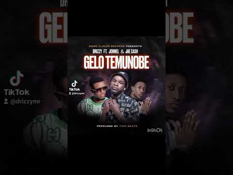 Gelo temunobe https://zambianmusicblog.co/drizzy-ft-johnel-jae-cash-gelo-temunobe/