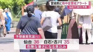 宮城県内に熱中症警戒アラート発表　仙台で最高気温３６度を予想　外出を控えエアコン使用など対策徹底を (26/08/25 11:44)