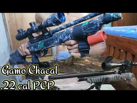 How to De Gas or Drain Air/PCP Air Rifle/Gamo Chacal/Gamo Urban/Gamo Phox/Coyote