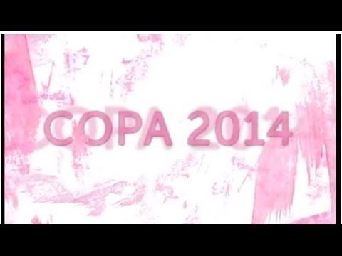 Copa 2014 - O que as mulheres têm a ver com isso?