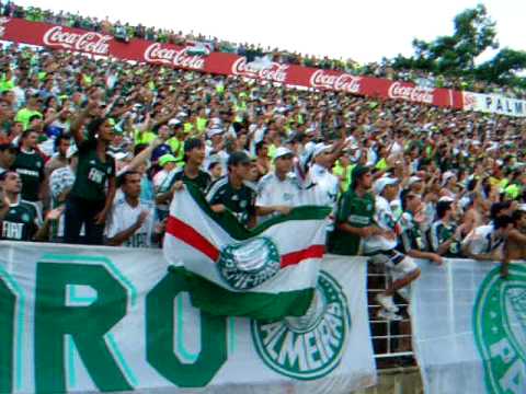 Taquaritinga Palmeiras