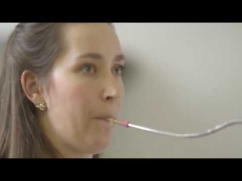 DUO ESPERANZA - two bassoons - Páslo dievča pávy - Martin Brunner