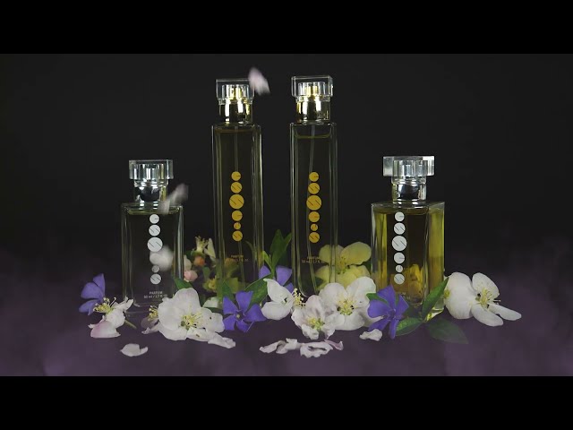 Boudoir - духи женские купить со скидкой 40%