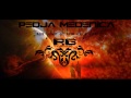 Pedja Medenica - Imam ljubav (Roggerio Raggae ...