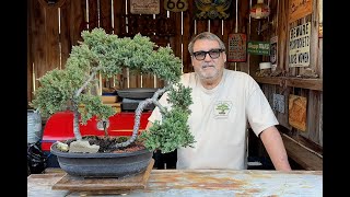 Checking Out My Conifers After a Hard Winter Spell