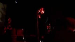 Maximo Park  - All Over the Shop