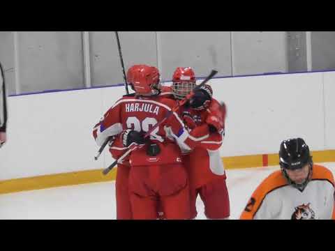 19.02.2022 EVU Team - Kiekko-Tiikerit Highlights