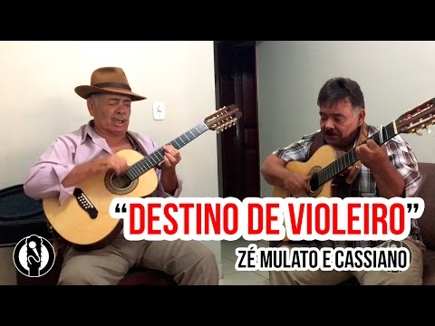 Destino De Violeiro video