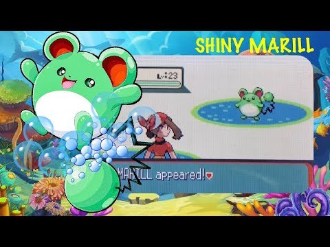 LIVE!! Yummy bubble gum Shiny Marill after 3,604 Surfing Encounters Sapphire [Full Odds] (Hustle #4)