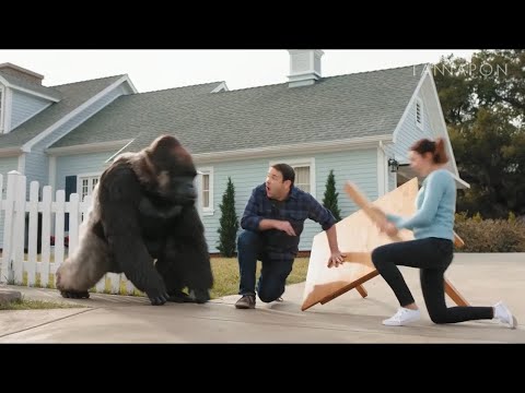 (New) All gorilla glue ads but perfectly cut screams